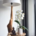 Přesazení orchideje zabere pár minut. Odměnou bude zdravá a kvetoucí rostlina